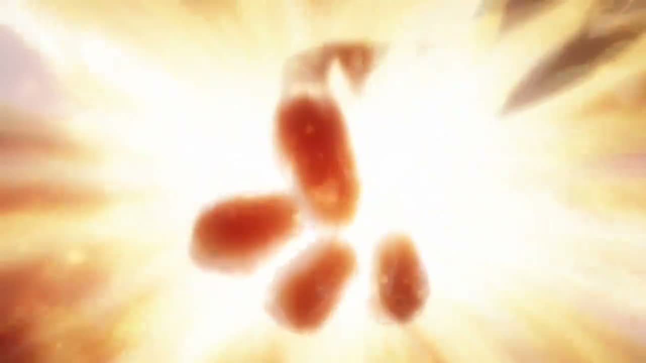 Episódio 002