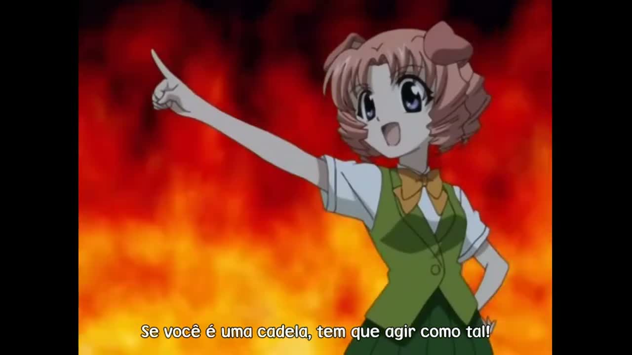 Episódio 008