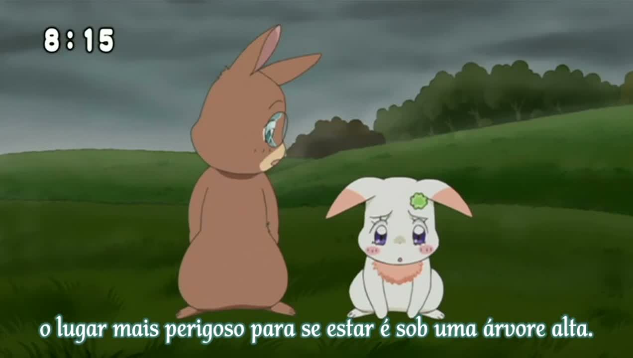 Episódio 010