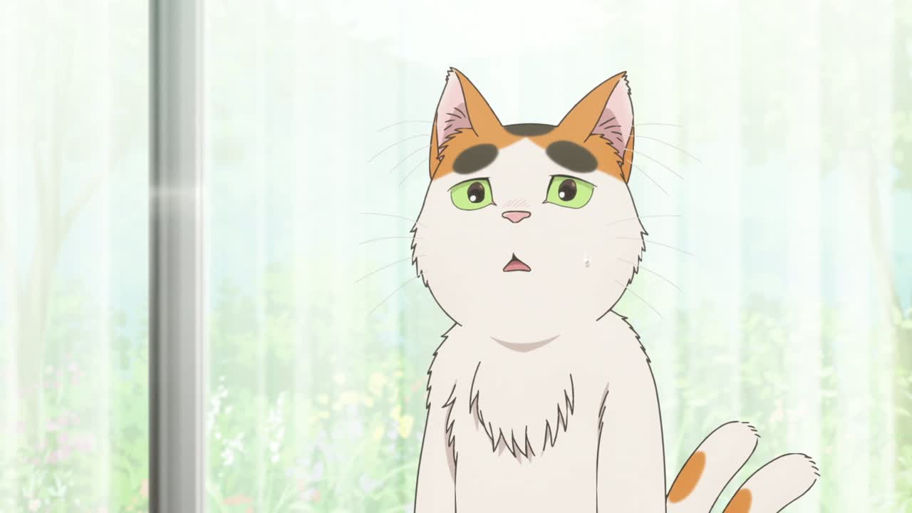 Episódio 005