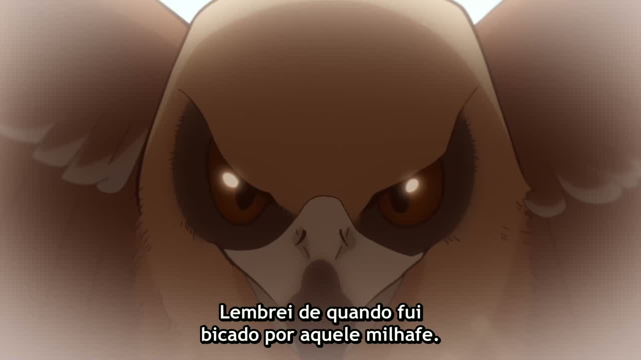 Episódio 004