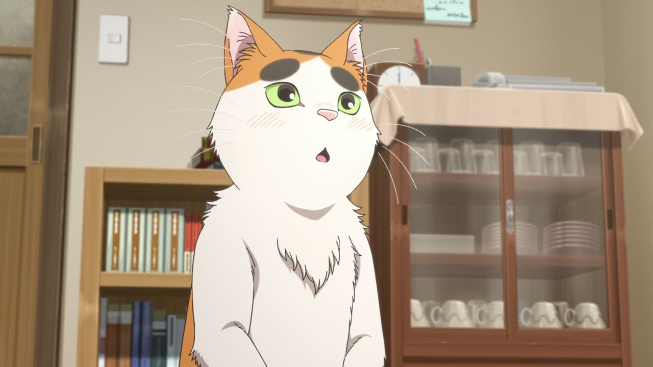 Episódio 001