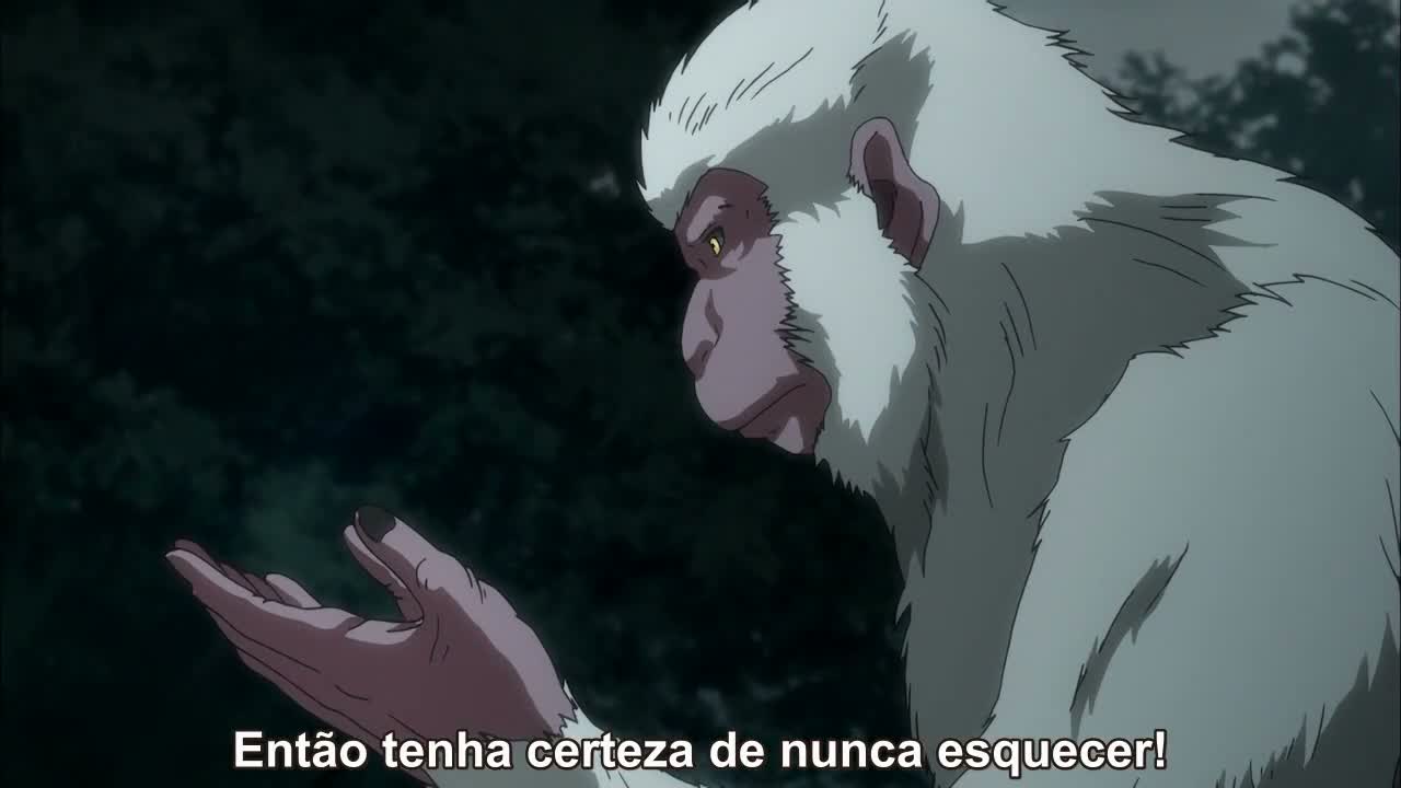 Episódio 007