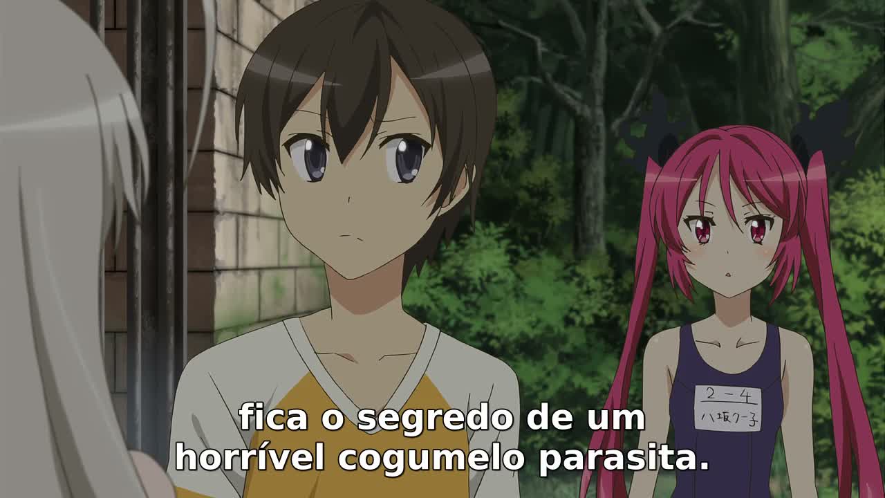 Episódio 011