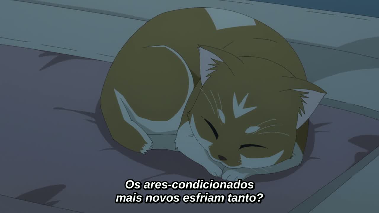 Episódio 007