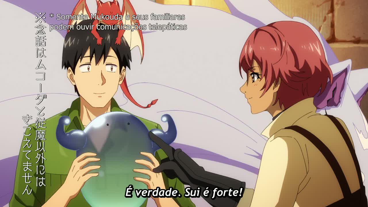 Episódio 004