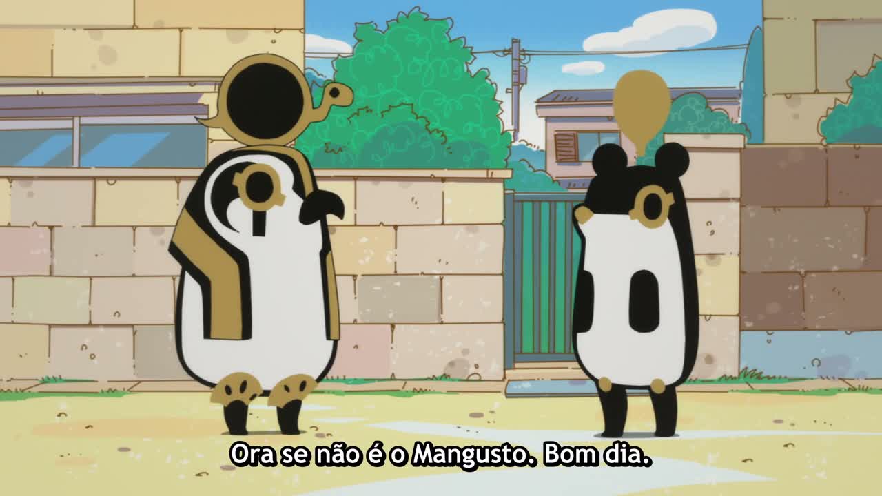 Episódio 005