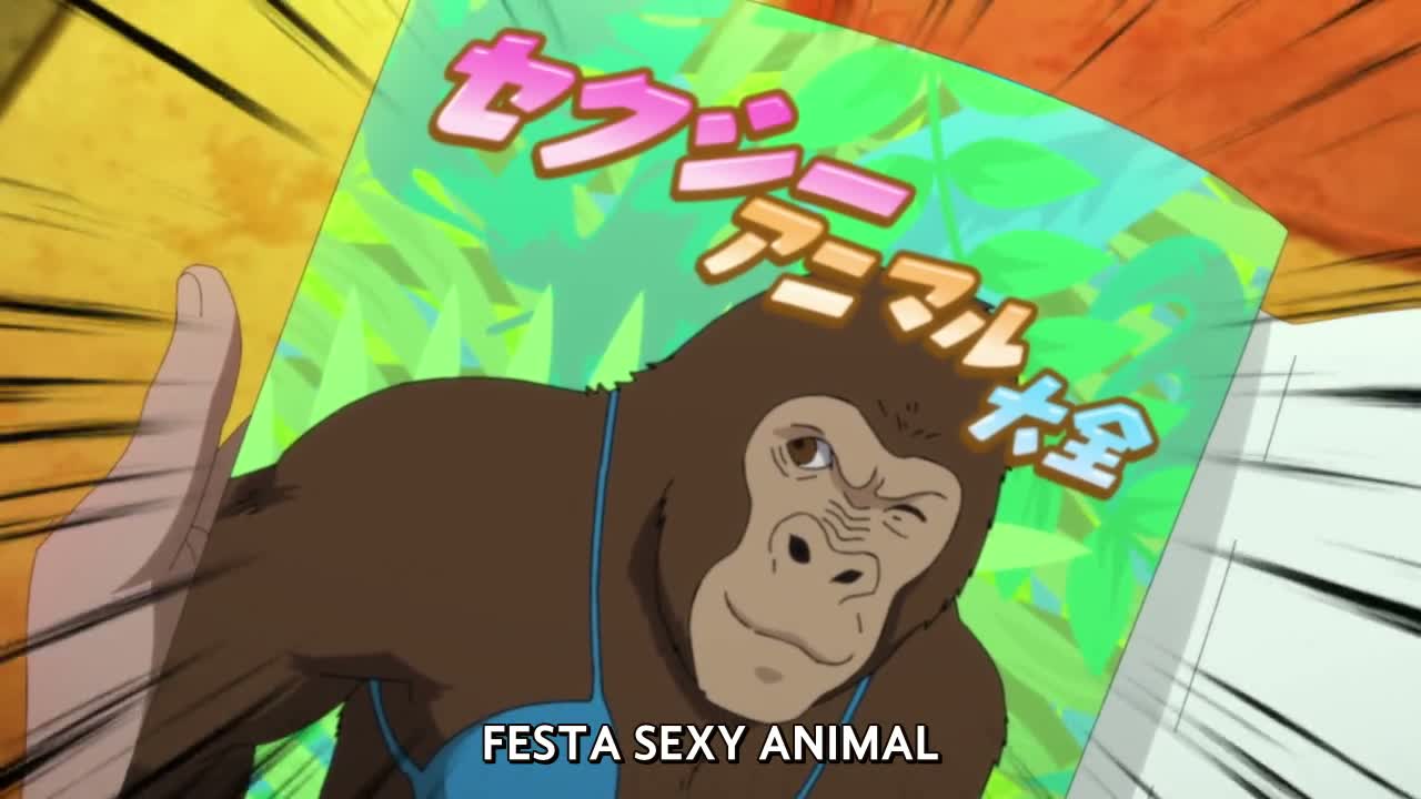 Episódio 005