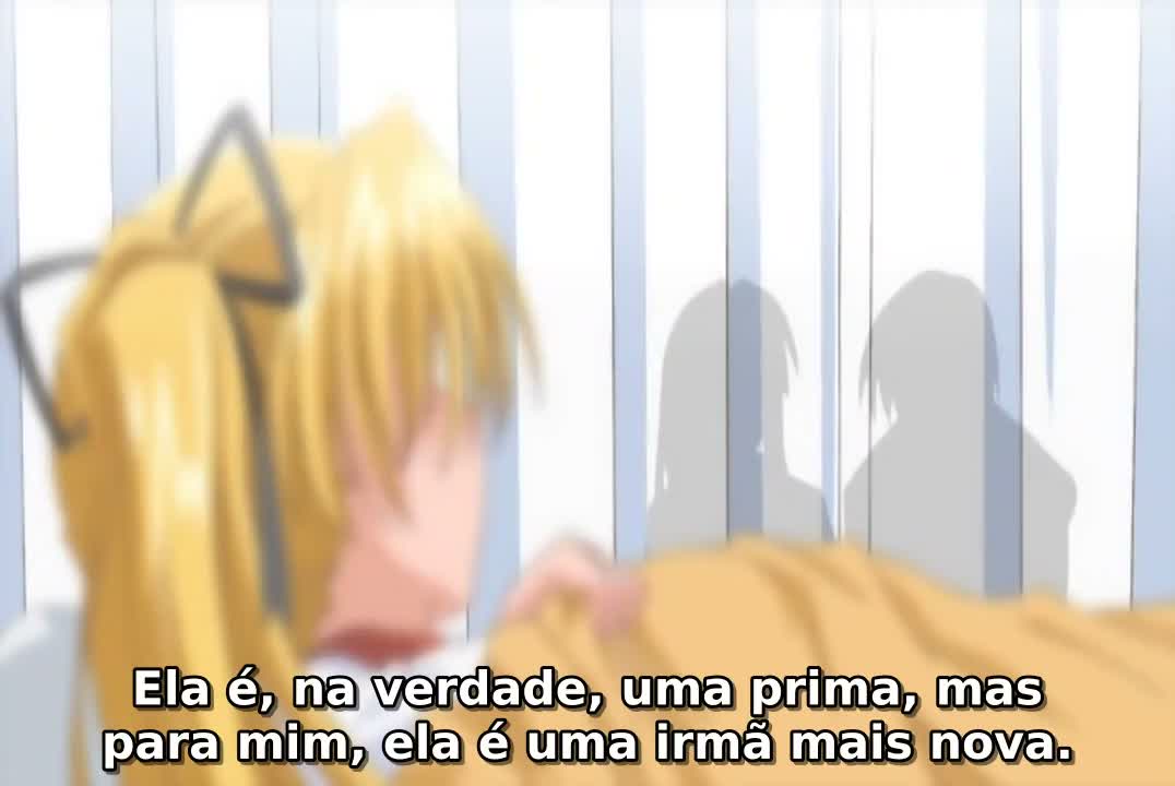 Episódio 007