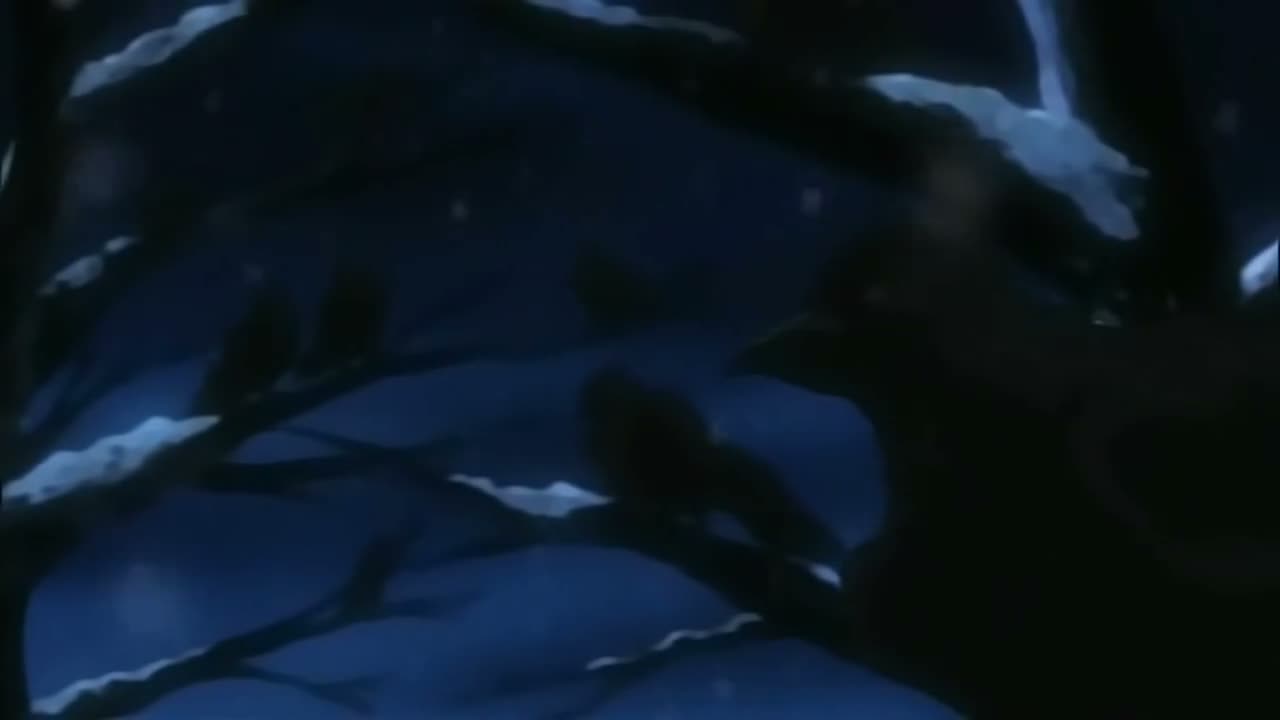 Episódio 013