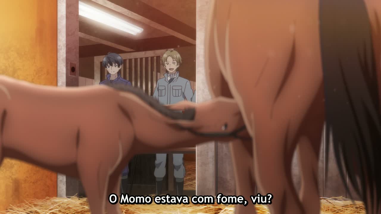 Episódio 011