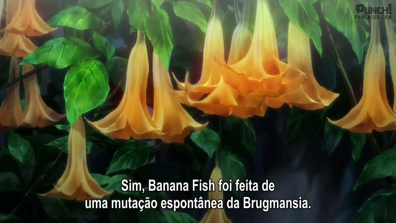 Episódio 017