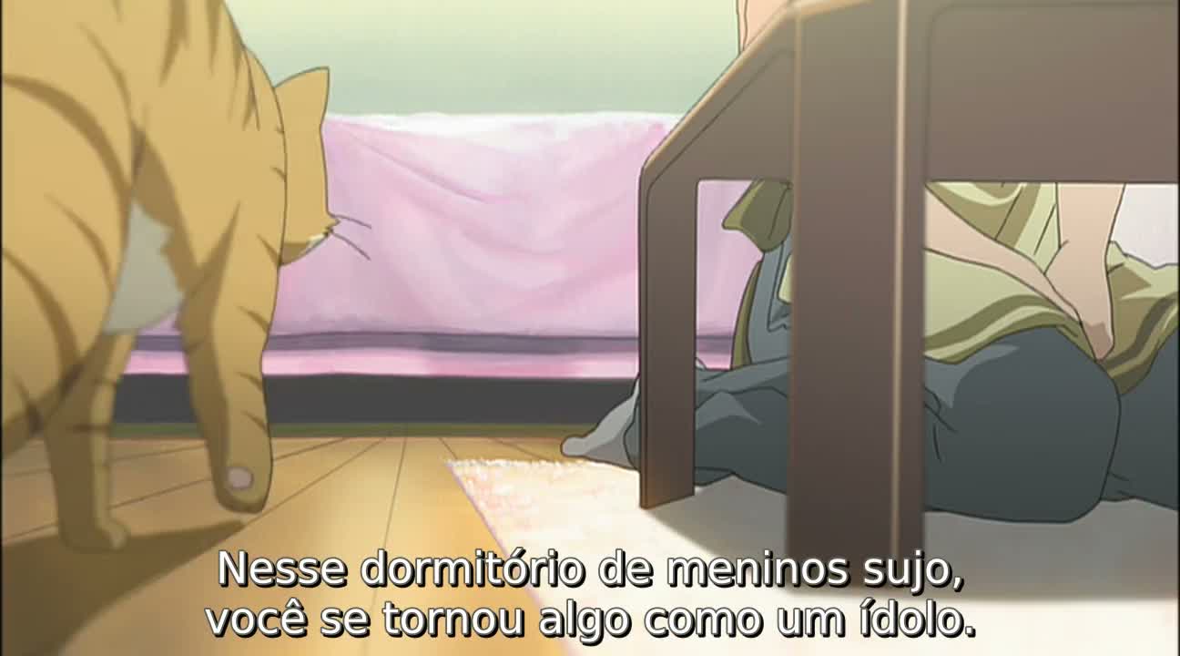 Episódio 005
