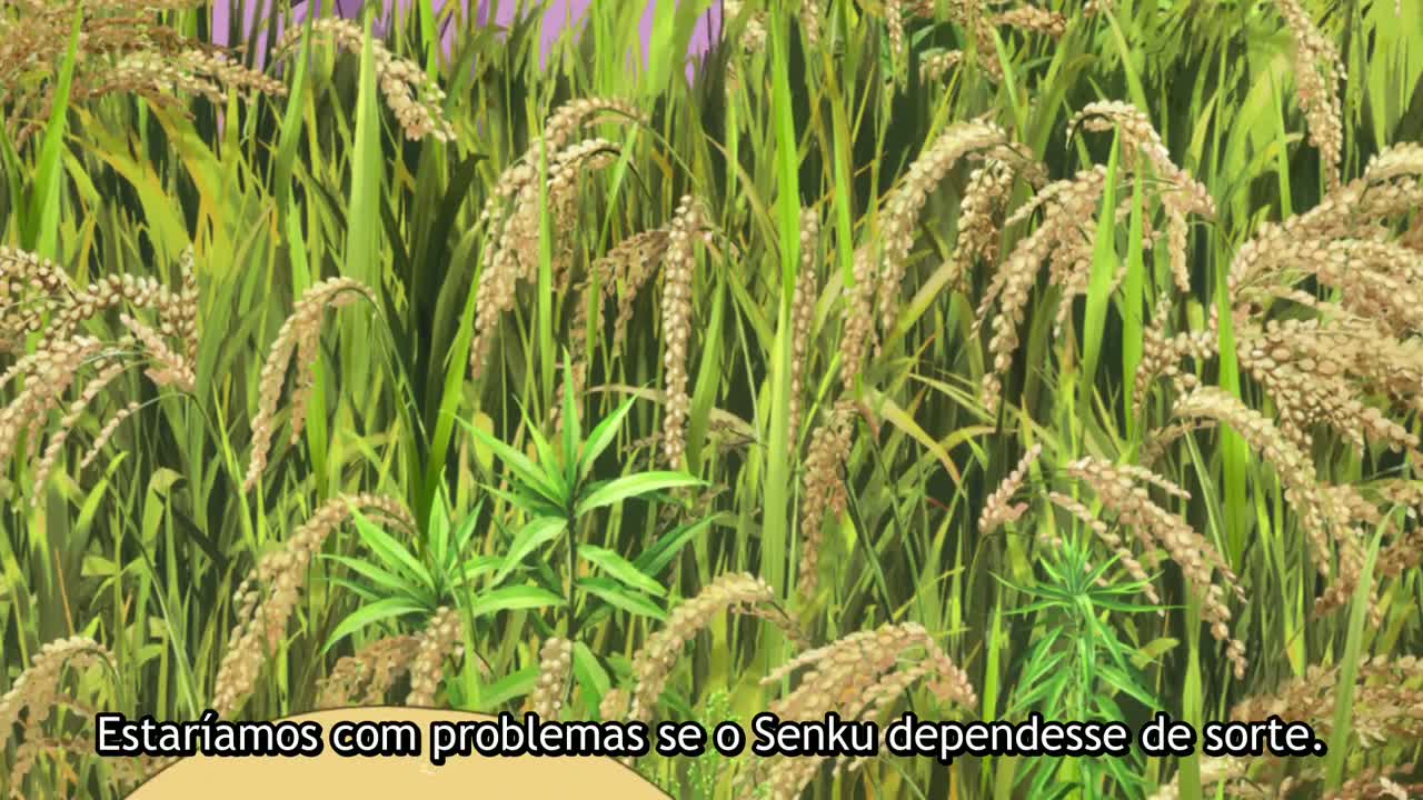 Episódio 006