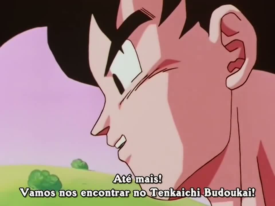 Episódio 205
