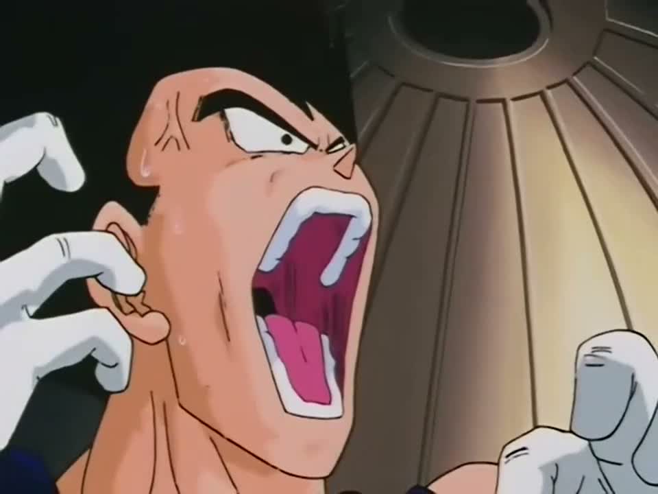Episódio 228