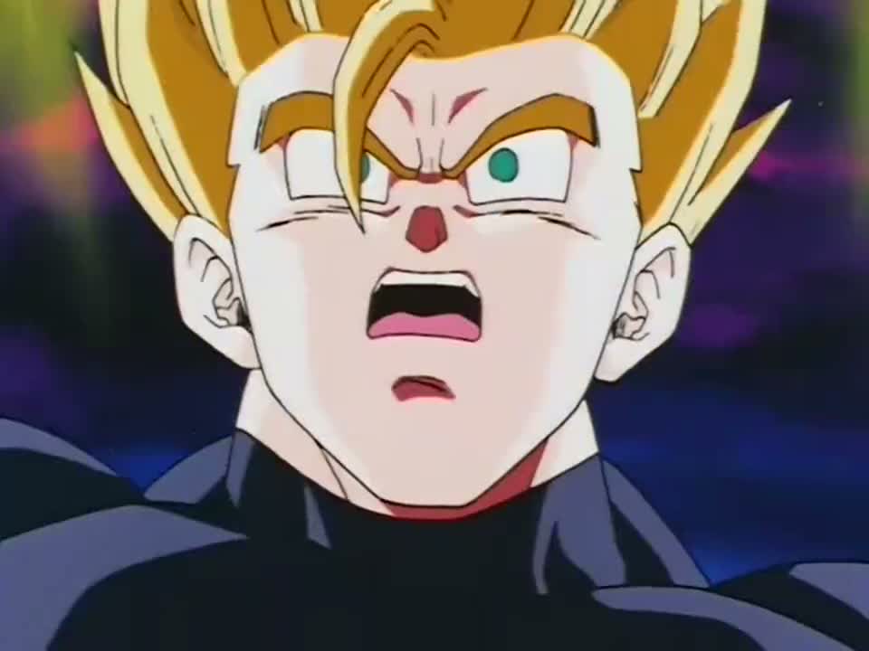 Episódio 231