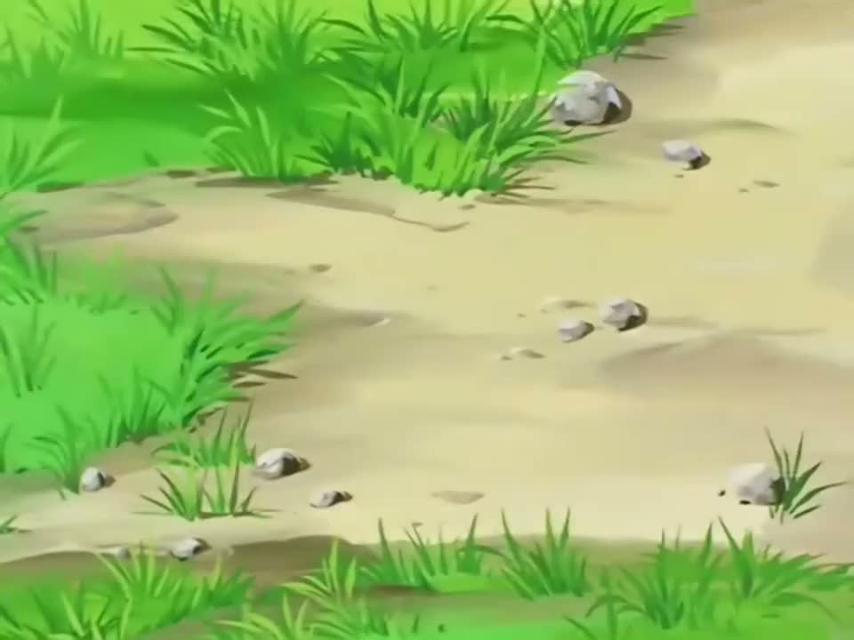 Episódio 249