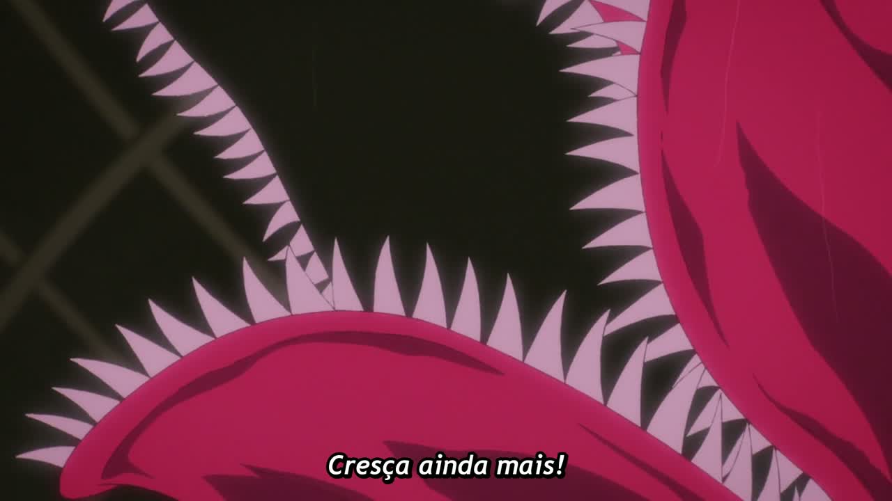 Episódio 005